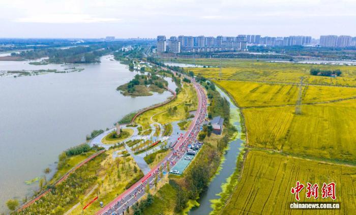 inews, 生态水美 inews, 生态水美